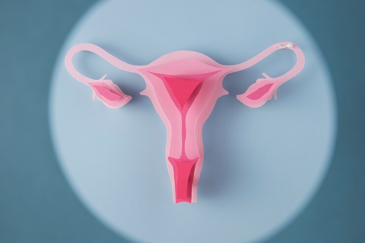 HSG Test: Procedure, Cost, Pain Level & Its Role in Fertility