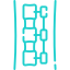 cervical spine
