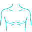 chest