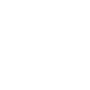 bladder