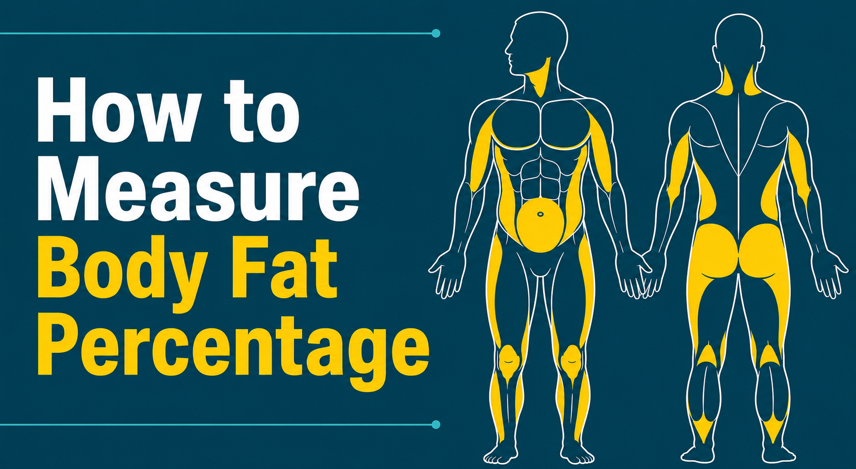 How to Measure Body Fat Percentage Accurately: All Methods